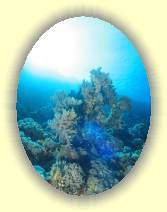 IMG_2007_05_27 17_46_16 * 1704 x 2272 * (460KB)